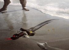 Pirate’s Cutlass