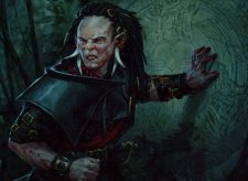 Ruin Raider