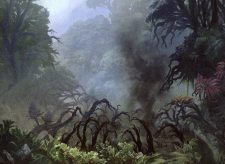 Spreading Rot
