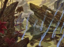 Swamp