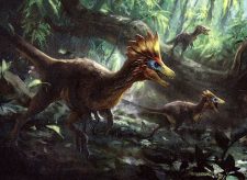 Thrash of Raptors