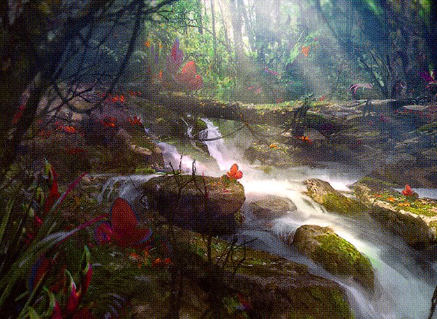 Woodland Stream