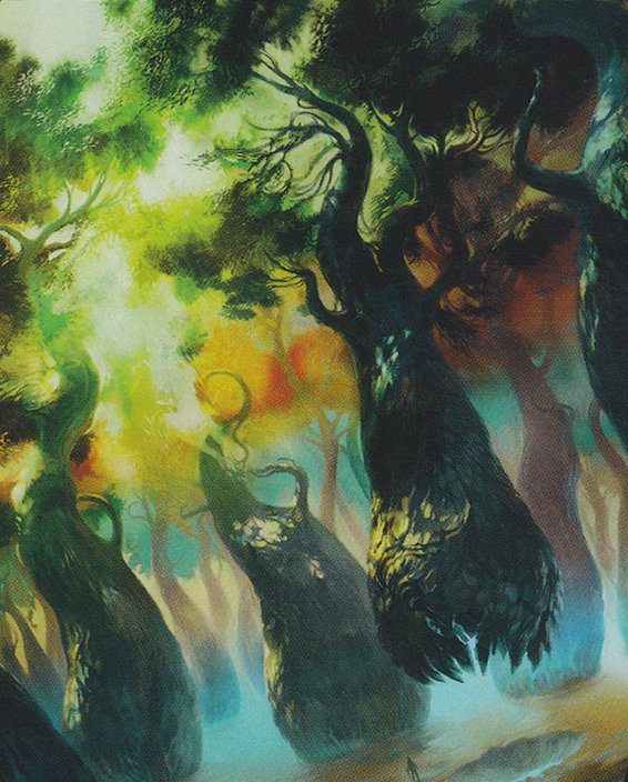 Forest
