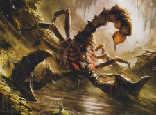 Giant Scorpion