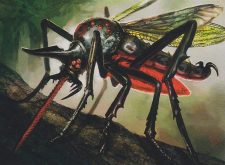 Heartstabber Mosquito