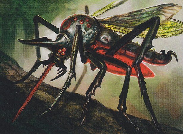Heartstabber Mosquito