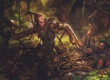 Marsh Casualties