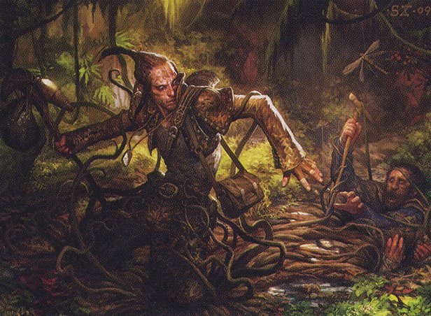 Marsh Casualties