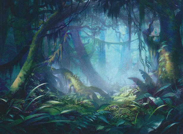Misty Rainforest