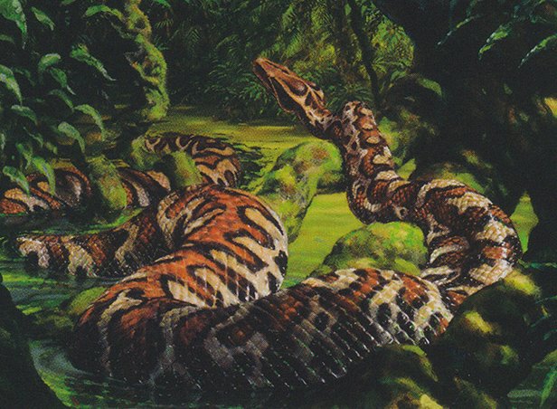 River Boa