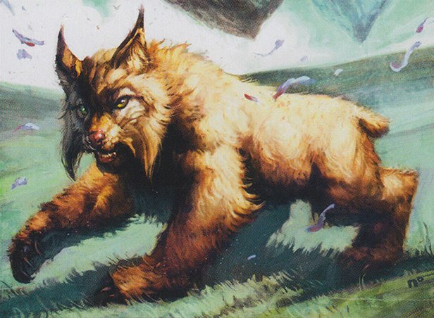 Steppe Lynx