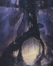 Swamp