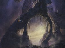 Swamp