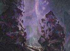 Swamp