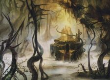 Swamp