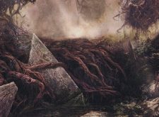 Swamp