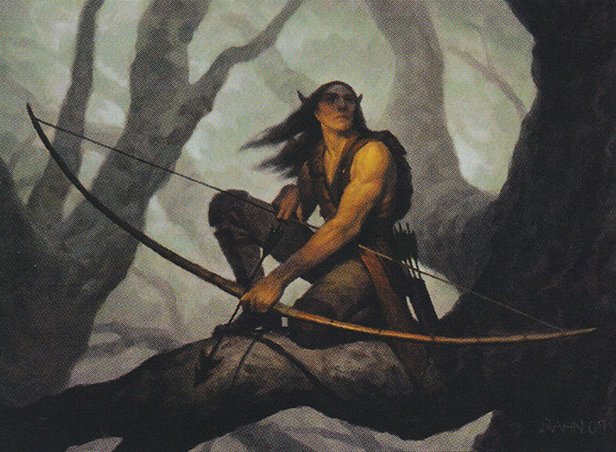 Tajuru Archer
