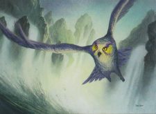 Tempest Owl