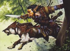 Turntimber Ranger