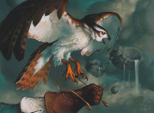 Umara Raptor