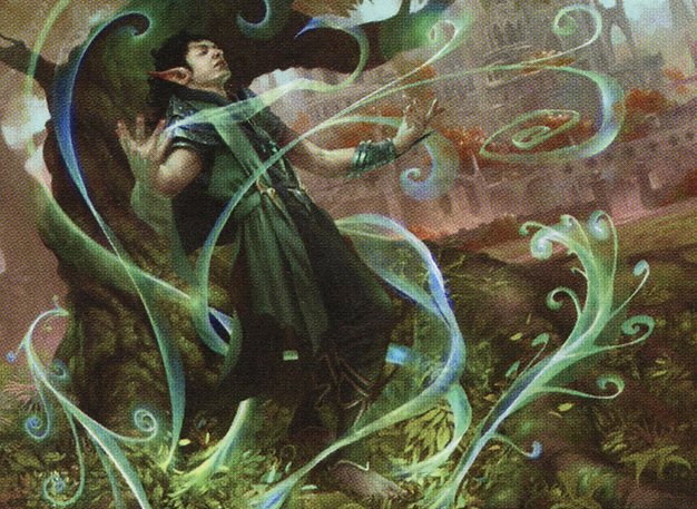 Evolution Sage