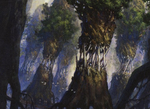 Evolving Wilds