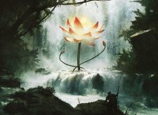 Khalni Heart Expedition