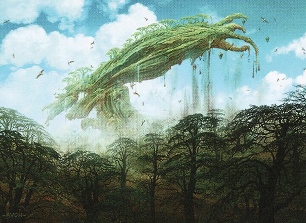 Kodama’s Reach