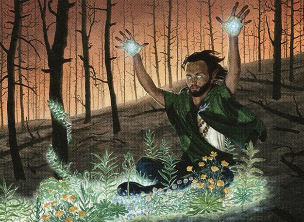 Springbloom Druid