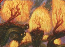 Grove of the Burnwillows