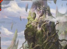 Wooded Foothills