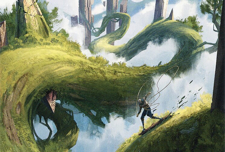 Branchloft Pathway // Boulderloft Pathway