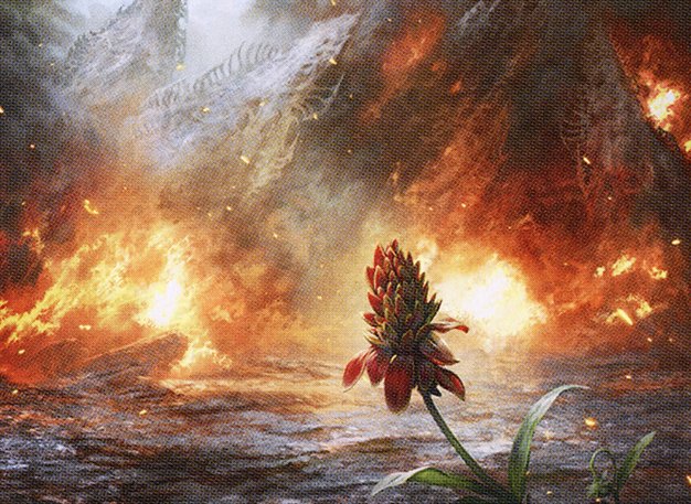 Cleansing Wildfire