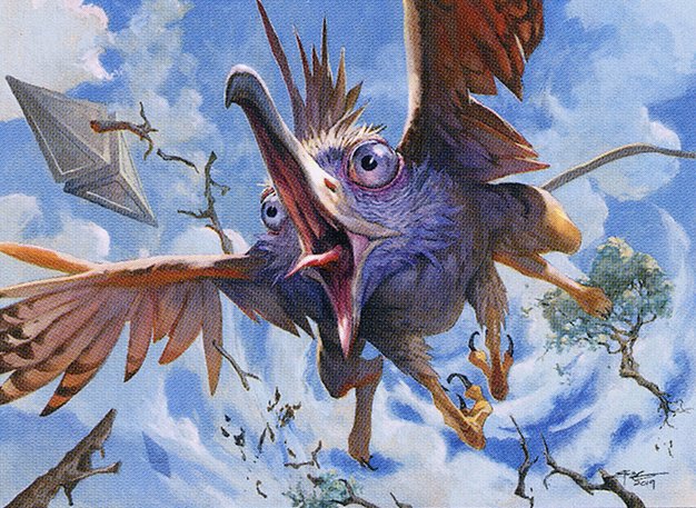 Fearless Fledgling