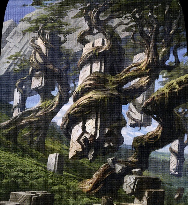 Forest