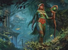 Joraga Visionary