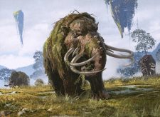 Kazandu Mammoth // Kazandu Valley