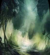 Swamp