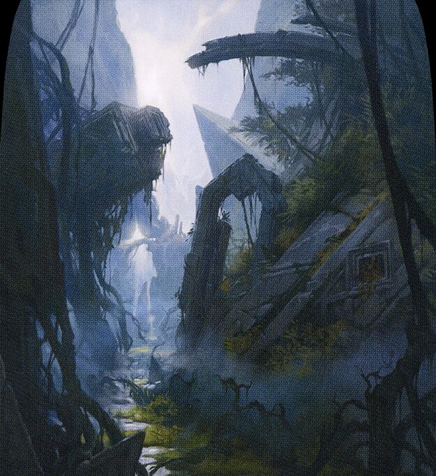 Swamp