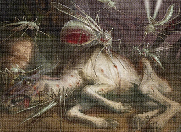 Zof Consumption // Zof Bloodbog